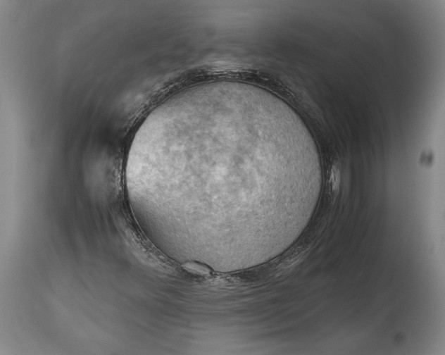 X0000115411348200911171349