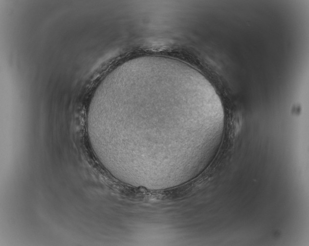 X0000115411349200911171349