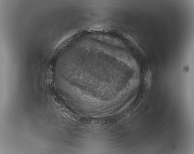 X0000115411350200911171349