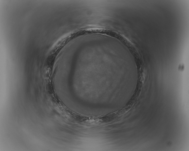 X0000115411351200911171349