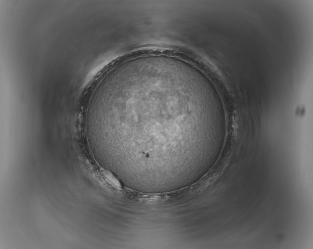 X0000115411352200911171349