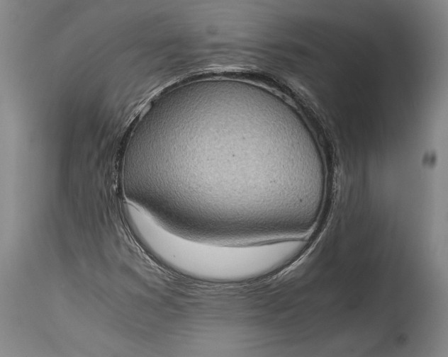 X0000115411353200911171349