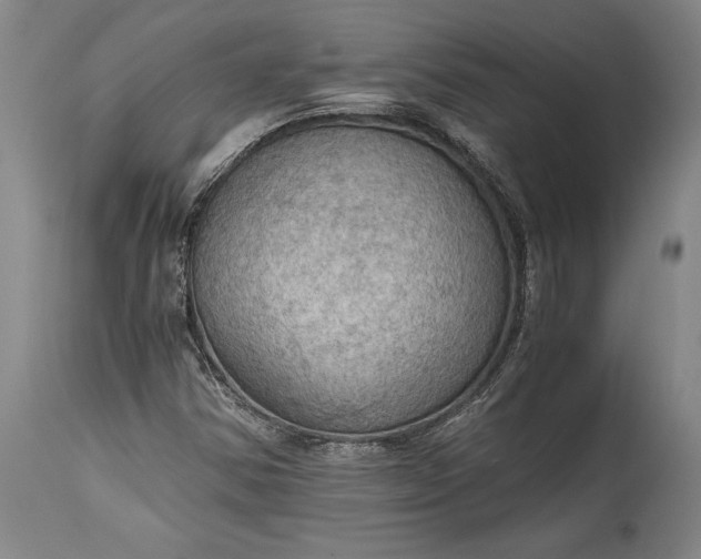 X0000115411354200911171349
