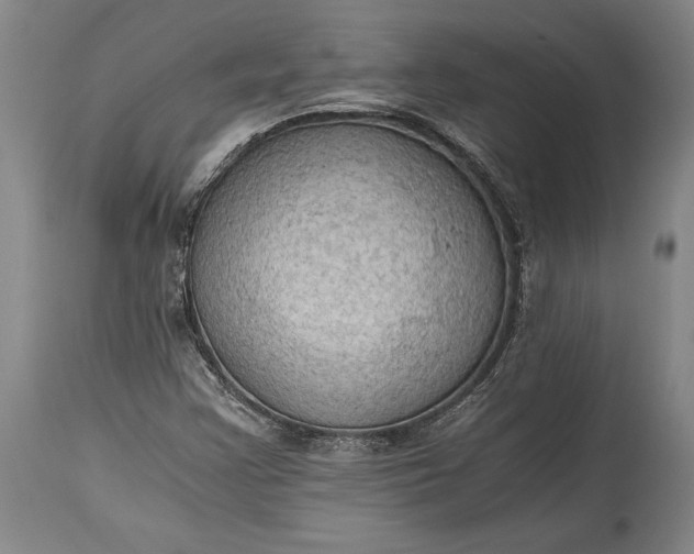 X0000115411355200911171349