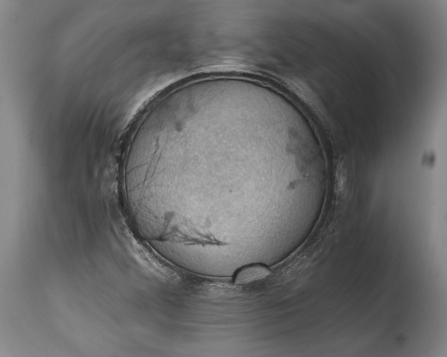 X0000115411356200911171349
