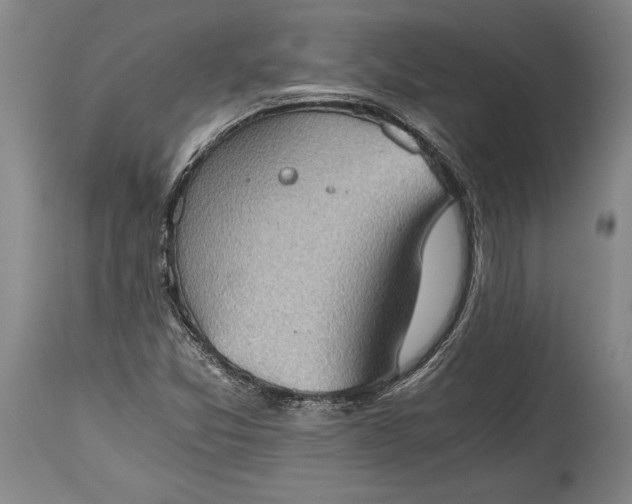 X0000115411357200911171349