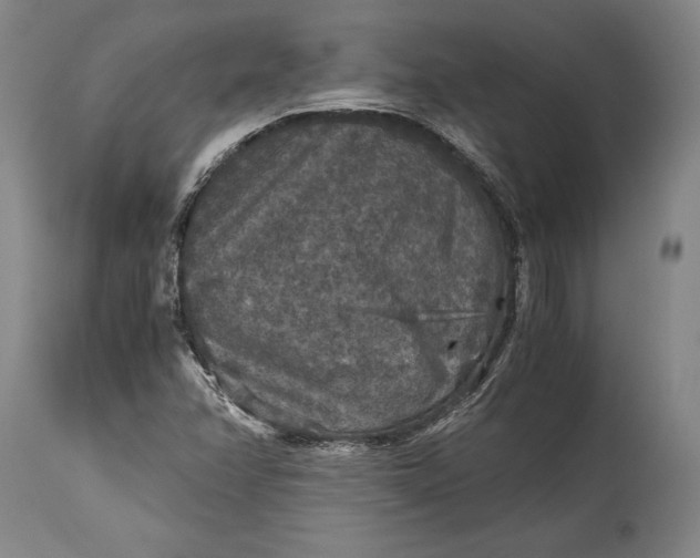 X0000115411358200911171349