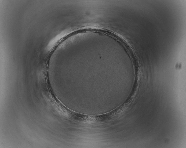 X0000115411359200911171349