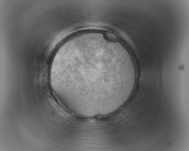 X0000115411360200911171349