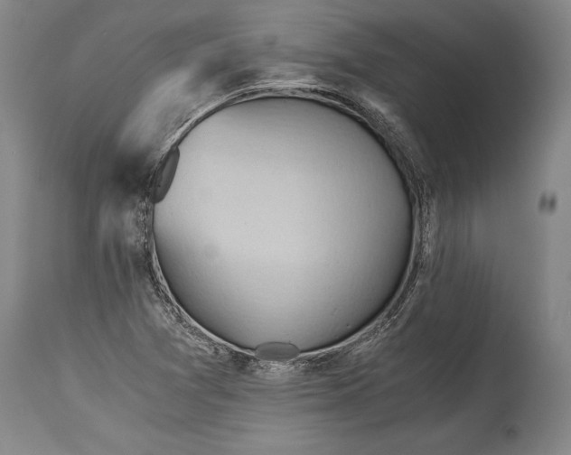 X0000115411361200911171349