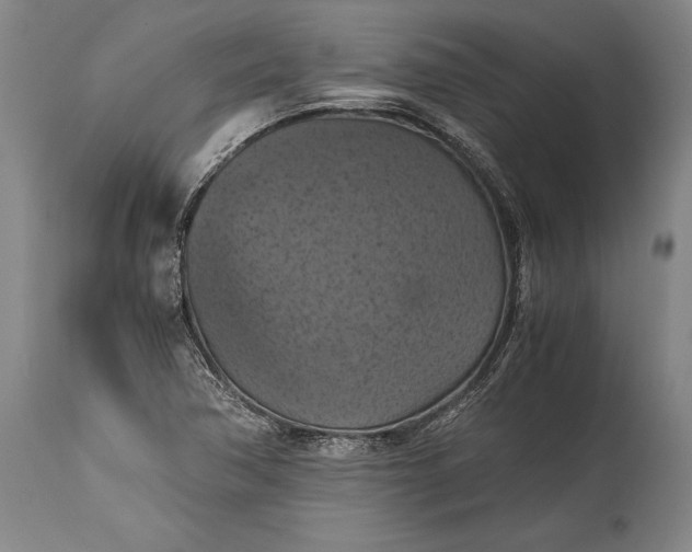 X0000115411362200911171349