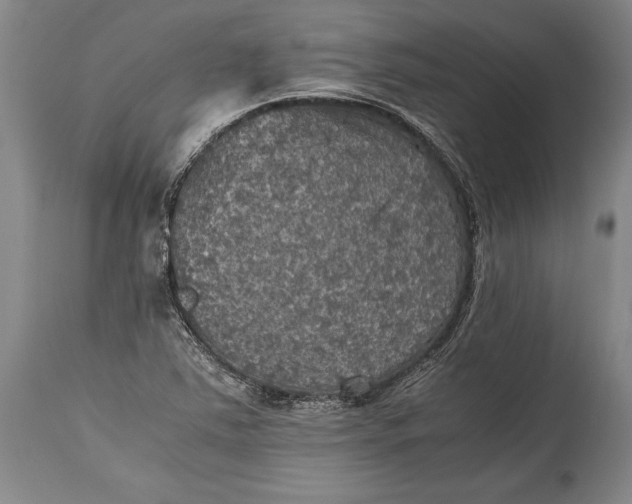 X0000115411363200911171349