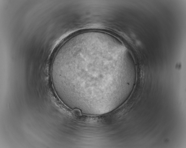 X0000115411364200911171349