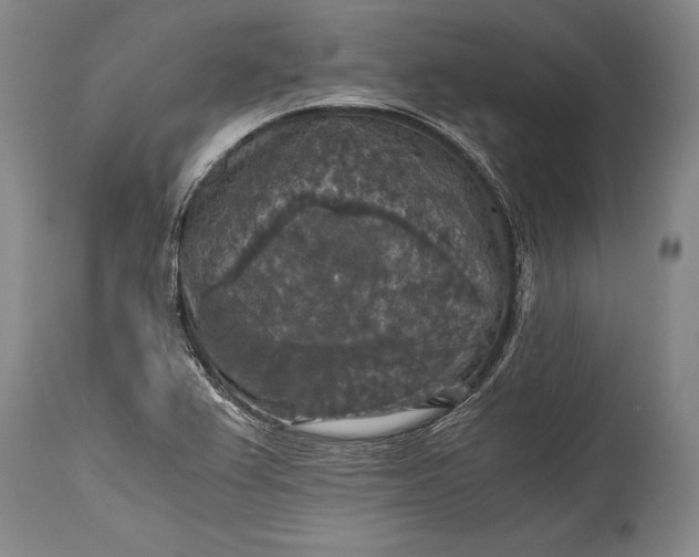 X0000115411367200911171349