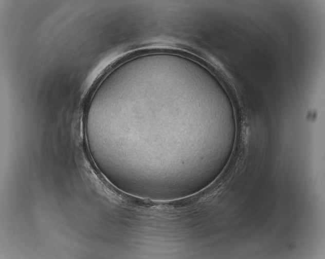 X0000115411368200911171349