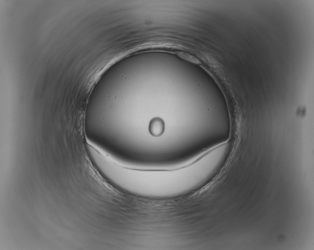 X0000115411369200911171349