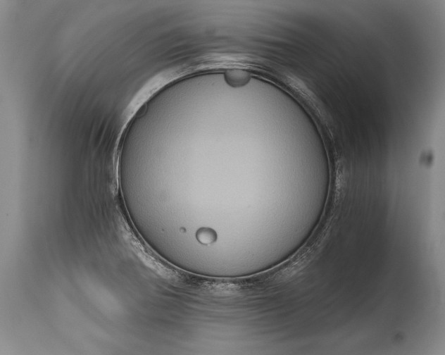 X0000115411370200911171349