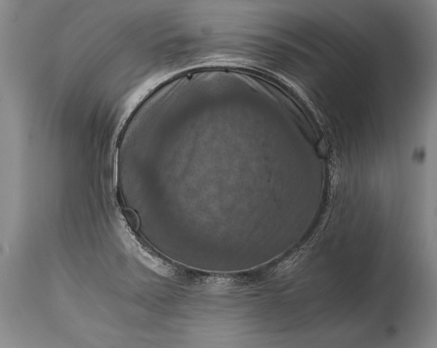 X0000115411371200911171349