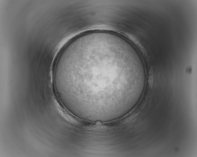 X0000115411372200911171349