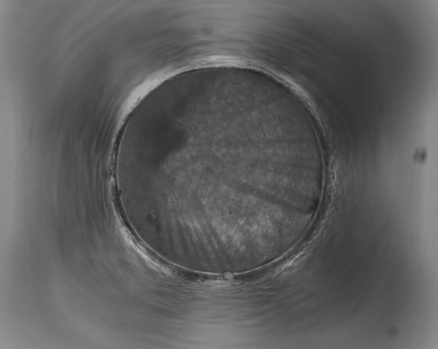 X0000115411373200911171349