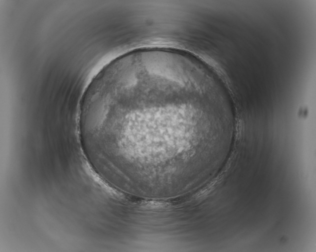 X0000115411374200911171349