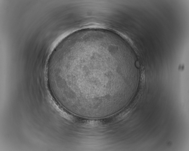 X0000115411375200911171349