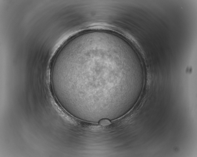 X0000115411376200911171349