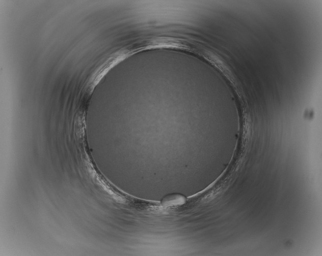 X0000115411377200911171349