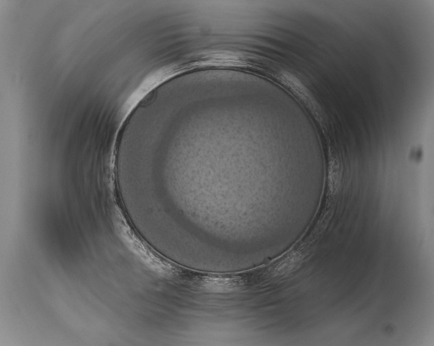 X0000115411378200911171349