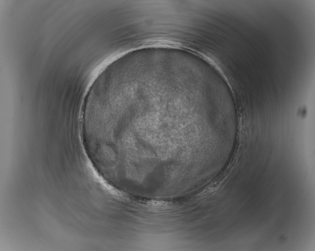 X0000115411379200911171349
