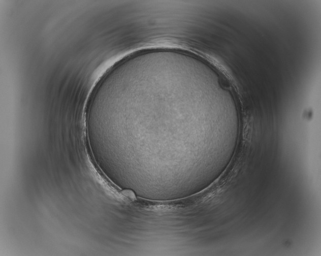 X0000115411380200911171349