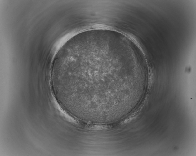 X0000115411381200911171349