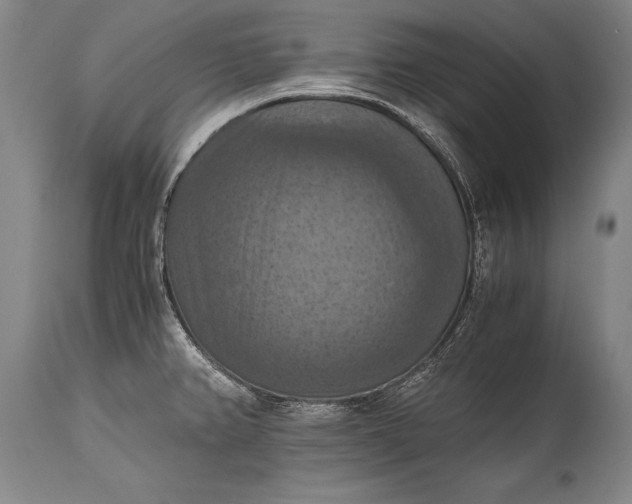 X0000115411382200911171349