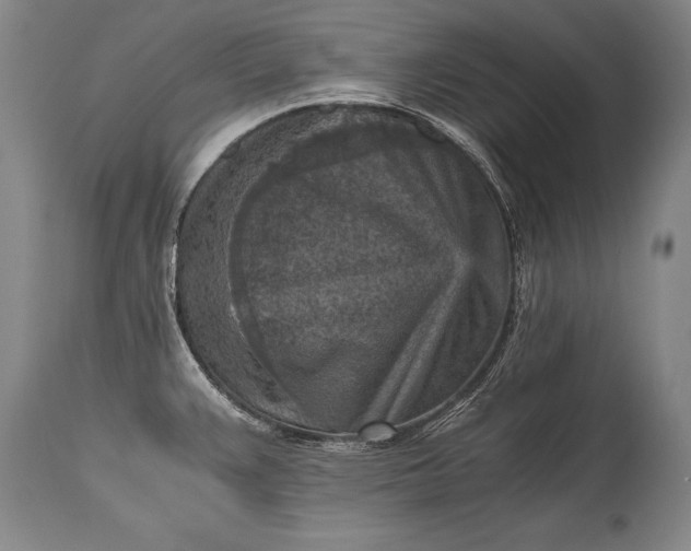 X0000115411383200911171348