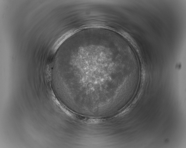 X0000115411385200911171348
