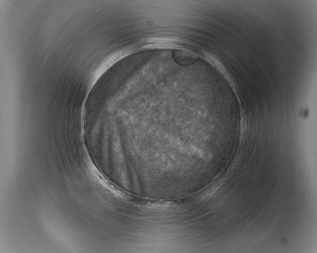 X0000115411386200911171348