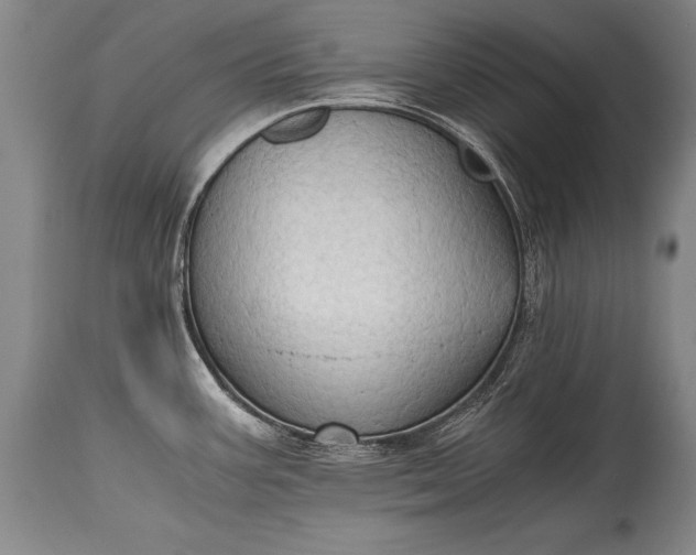 X0000115411387200911171348