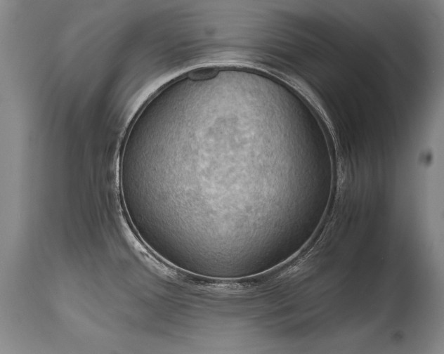 X0000115411388200911171348