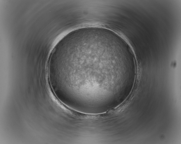 X0000115411389200911171348