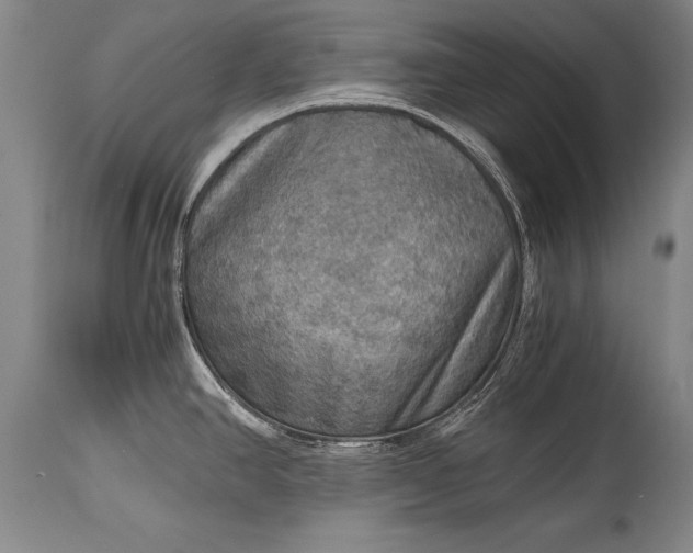 X0000115411390200911171348