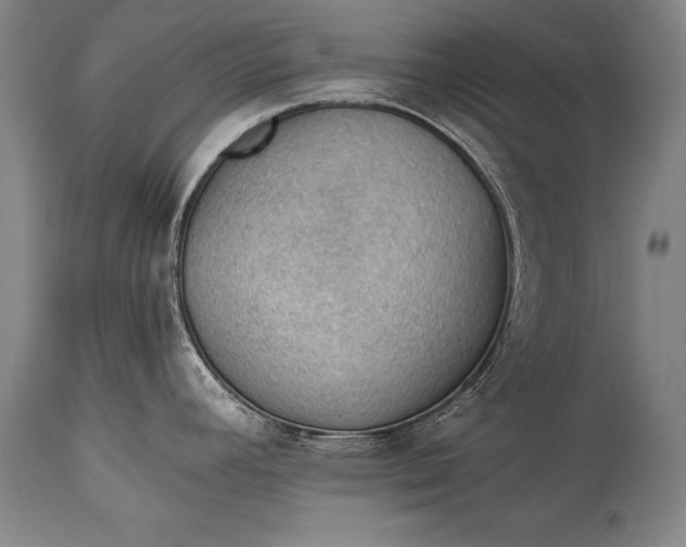 X0000115411392200911171348