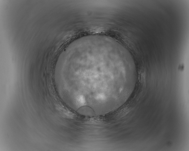 X0000115411393200911171348