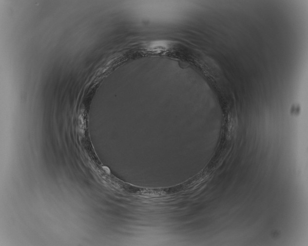 X0000115411394200911171348