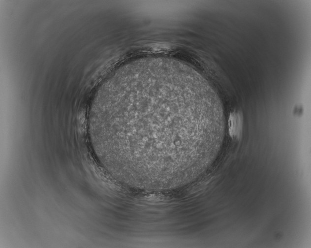 X0000115411395200911171348