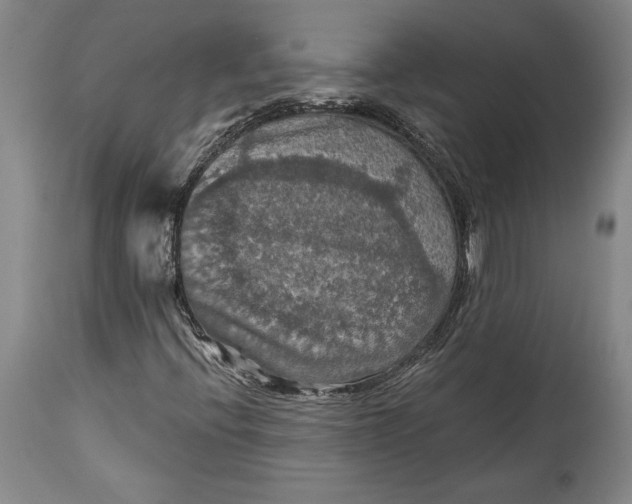 X0000115411396200911171348