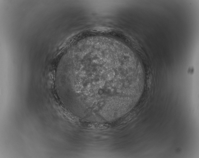 X0000115411397200911171348
