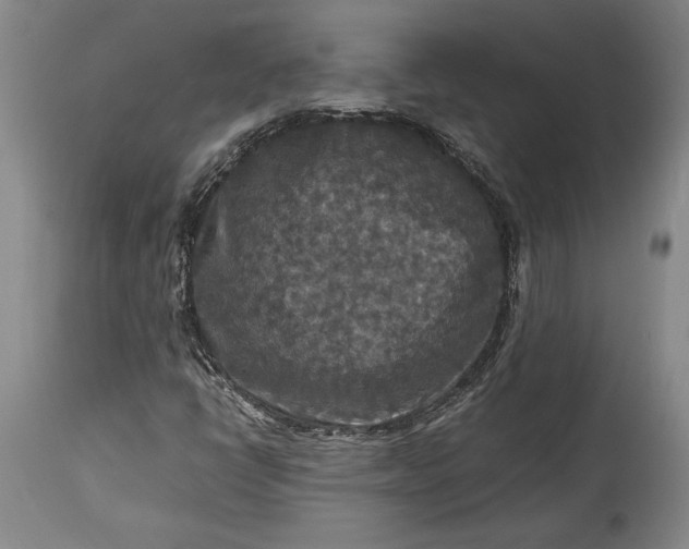 X0000115411398200911171348