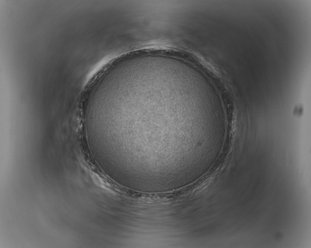 X0000115411400200911171348