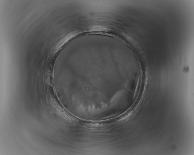 X0000115411401200911171348