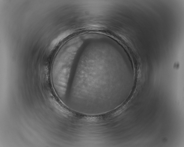 X0000115411402200911171348